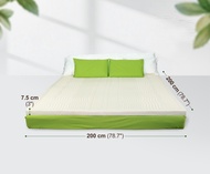 Bangkok Latex ท็อปเปอร์ ยางพาราแท้ - King Size 6.5 ฟุต | 200x200 ซม. | แก้ปวดหลัง