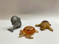 [二手扭蛋] 休眠海洋動物園 海象 海龜 海豚