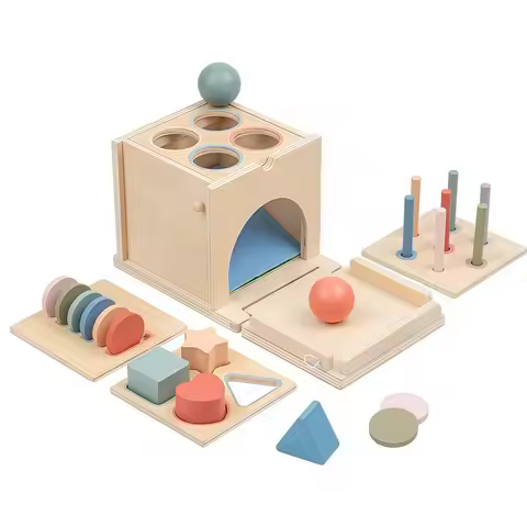 Wooden Montessori Color Sorting Box for Toddler,4 in 1 Sensory Toys Shape Sorter Education for Baby 