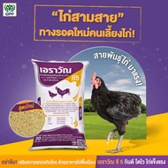 อาหารไก่ อาหารไก่เนื้อ เอราวัณ C5 30 กิโลกรัม อาหารไก่บ้าน อาหารไก่พื้นเมือง