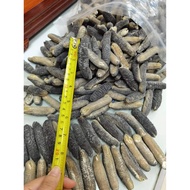 ปลิงทะเลออสเตรเลีย（澳洲明秃参Y32） 200g 17-19 ชิ้น，ปรับปรุงภูมิคุ้มกัน ขจัดความเหนื่อยล้า