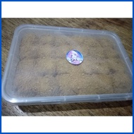 ╰ ➢ ∽ Graham Balls Original Honey Grahams 24 pcs