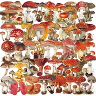 50Pcs/Set ✿ Cartoon Mushrooms Series 02 PET Stickers ✿ Waterproof DIY Fashion Kids Rewards Stickers