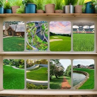 Turf Four Seasons Evergreen Rye Lawn Greening Dog Tooth Root Manila Grass Seed Courtyard Carpet Slop