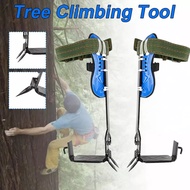 Rocky1- อุปกรณ์ปีนต้นไม้ Tree Climbing ที่ปีนต้นไม้ ปีนต้นไม้ รุ่น อุปกรณ์ปีนต้นไม้ อุปกรณ์ปีนเสาไม้