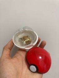 Pokemon 精靈球 伊布公仔