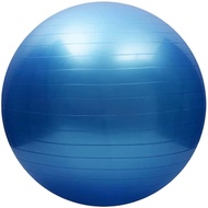 FITNESS BALL 65cm [Sports Express]