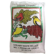 White Bird Seed 20kg (White Millet for Bird)