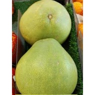 1 biji buah limau bali Australia berat 1kg+