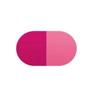 ARTISTRY STUDIO Parisian Style Edition Cheek & Lip Duo 70% off normal price RM99