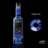 DaVinci Gourmet Blueberry Syrup (750ml)
