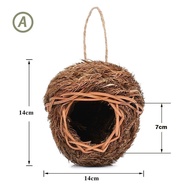 Bird's nest Bird's nest Bird's nest Bird's nest Bird's nest Bird's nest Bird's nest Bird's nest Smal