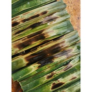 Corals Muar Otak-Otak | Frozen Otak Stick | Halal Food (20 Sticks)