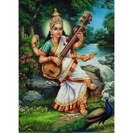 Saraswathy - A4 size photo print