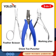 3 in 1 Gamefowl Kit Chicks toe puncher+Chicken nose marker pliers+ Feather scissor for Rooster Gamef