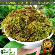 SPHAGNUM MOSS (High Quality - Best for Orchids and Pet Bedding)/ Sphagnum Peat Moss   | The Gardener