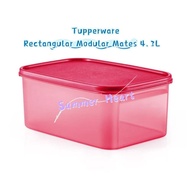 Tupperware Rectangular Modular Mates 4.3L (1)