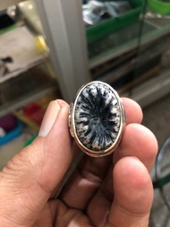 Natural batu cincin fosil mustika tundung bawuk(kuat laki)(pengasihan) asli alam dim batu 24x17 emba