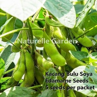 Benih Edamame Kacang Bulu Edamame Seed Benih Sayur Vegetable Seed 5 biji per pack