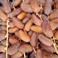 Algerian Dates Deglet Noor | KURMA TANGKAI DEGLET NOUR ALGERIA | PREMIUM QUALITY | 400g, 500g