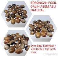 BATU FOSIL GALIH ASEM NATURAL 02