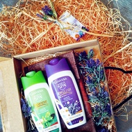 [Ready Stock] Ginvera Body Lotion (230g)