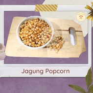 Jagung Popcorn 500gr / Jagung Kering / Jagung Pipil