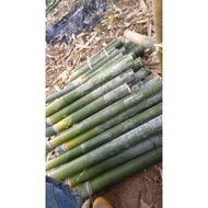 Buluh Lemang Terbaik