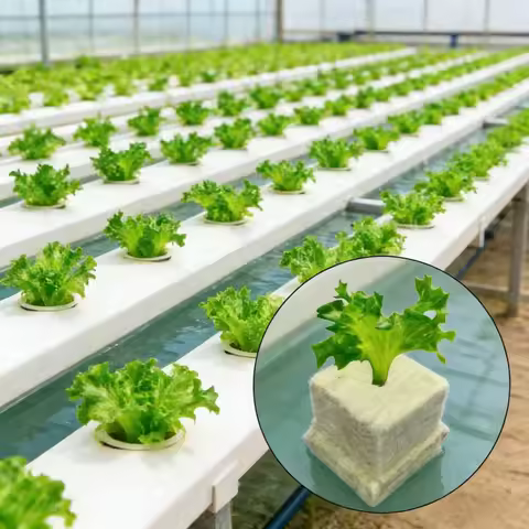 25x25x25mmSoilless Cultivation Seedling Pot Hydroponic Rockwool Plant Seed Germination Special Seedl