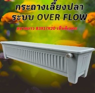 กระถางเลี้ยงปลา overflow กะบะเลี้ยงปลา อ่างเลี้ยงปลา อ่างเลี้ยงปลาเมกาดะ อ่างเลี้ยงปลาหางนกยูง อ่างเ