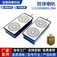 11050BOX-25H Kabinet Pembesar Suara 4 Ohm 5 Watt Bilik Mandi Kalis Air Cermin Pintar Pembesar Suara 