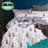 §同床共枕§TENCEL100%天絲萊賽爾纖維 加大6x6.2尺 薄床包舖棉兩用被四件式組-仰星星