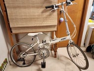 Oyama skyline 白色折疊單車
