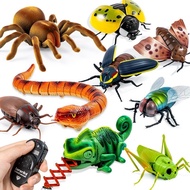Scorpion Snake Simulation Spoof New Product Spider Toy Remote Control Remote Control 12y Cockroach E