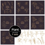 Plant Design Template Bundle Pack / Flower / Tree / Leaf / Illustration / Golden Line Art / EPS ~ FW