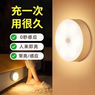 Human Body Sensor Light Bedroom Sleep Light Household Aisle Smart Bedside Aisle Light Sound Light Co