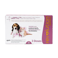 Nhỏ gáy Revolution - Nhỏ gáy Ve Rận Bọ Chét Ký Sinh Trùng Trong và Ngoài cho Chó Mèo