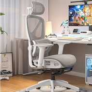 Ergonomic Chair Protection Computer Chair Comfortable Office Breathable Esports Chair