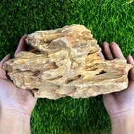 90s Greenovation Stone Rock Varieties 石头种类 1 Guni (25KG)