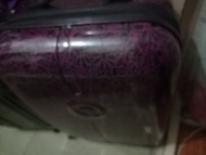 紫色花紋行李箱