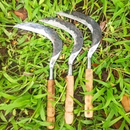 LI-01 sabit rumput baja bolong [terbaik][terlaris]