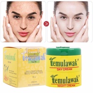 Promotional Remove Dark Spots Freckles Beauty Whiten Black Skin Whitening Cream Day&amp;Night Cream TEMULAWAK