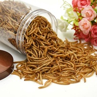 Dried Meal Worm/Mealworm for Sugar Glider and Hamster ulat roti kering 75g