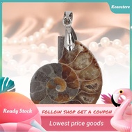 keaostore Zerodis Vintage Ammonite Shell Pendant  Handcrafted Nature for Women Men with Flat Spiral 