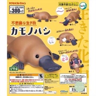 鴨嘴獸 不可思議生物 動物扭蛋 扭蛋 日本扭蛋 日本代購 景品 玩具 公仔 擺設 figure capsule 周邊 盒玩 盒蛋 食玩 動物扭蛋 扭蛋 日本扭蛋 日本代購 景品 玩具 公仔 擺設 fi