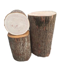 Natural Log Stool Real Wood Tree Stump Aquarium Plant Pot Base Artistic Style Home Furniture Huairen