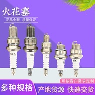 Gasoline Engine Parts168F170Gasoline Engine Spark Plug Agricultural Micro Tillage Machine Polisher F