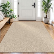 Washable Area Rug, Non Slip Entryway Rug, 4x6 Ft, Sand/Beige | Washable Cotton Braided Throw Rug, No