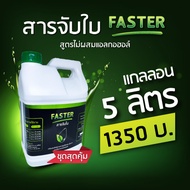 สารจับใบ FASTER เสริมประสิทธิภาพการดูดซึมของปุ๋ย-ยา (แกลลอน 5 ลิตร)