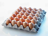 Per 30 Butir (1 Tray) Telur Ayam Negeri. Agen Telur Segar. Grosir